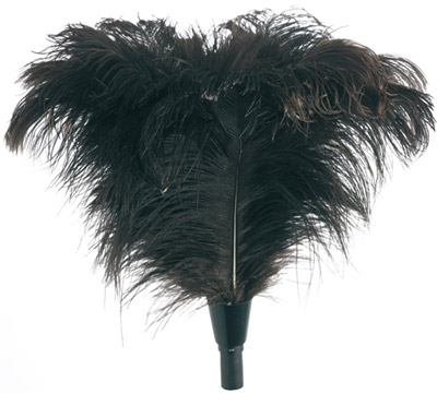 Ostrich feather duster Unger