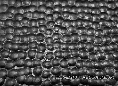 Hammered rubber carpet ids10 1,50x50m