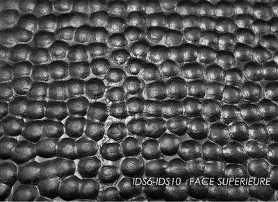Hammered rubber mat 1.80x50m 10 mm thick