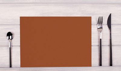 Terracotta spunbond set of 100