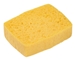 Wet Spontex sponge number 6