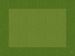 Dunicel organic leaf green placemat 30x40