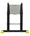 Centaur 11 telescopic ladder