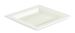 Square biodegradable disposable plate 200x200 by 500