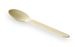 Disposable spoon biodegradable wood 165 mm the 1000