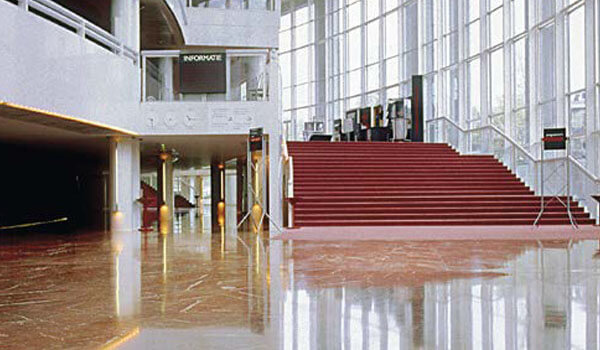 Professional floor polishing disc